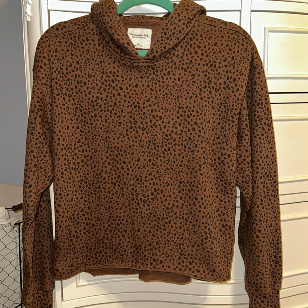 Abercrombie & Fitch Hoodie